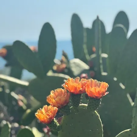 Hébergement de vacances Casa Directa Al Mar